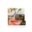 Dr.Organic Virgin Coconut Oil Lip Serum 10ml