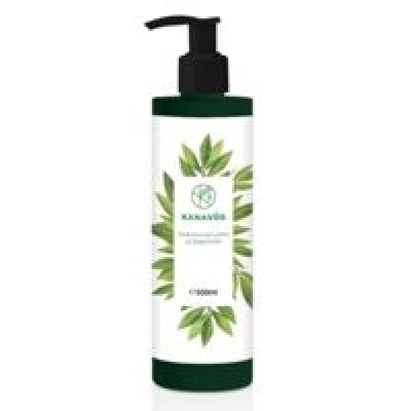 Chemco Δαφνέλαιο 500ml