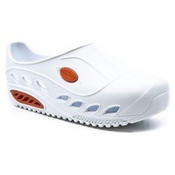 ΑΝΑΤΟΜΙΚΑ ΥΠΟΔΗΜΑΤΑ