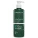 Pharmasept Scalp Biome Oily Dandruff Shampoo, Σαμπουάν Ρύθμισης Της Λιπαρότητας 400ml