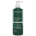 Pharmasept Scalp Biome Oily Dandruff Shampoo, Σαμπουάν Ρύθμισης Της Λιπαρότητας 400ml