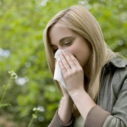 ΑΛΛΕΡΓΙΕΣ - ΑΝΤΙΣΤΑΜΙΝΙΚΑ