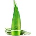 Holika Holika Aloe 92% Shower Gel 250ml