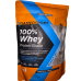 NamedSport 100% Whey Protein & cookie cream 900g