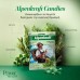 Power Health Salus Alpenkraft Καραμέλες 75 g